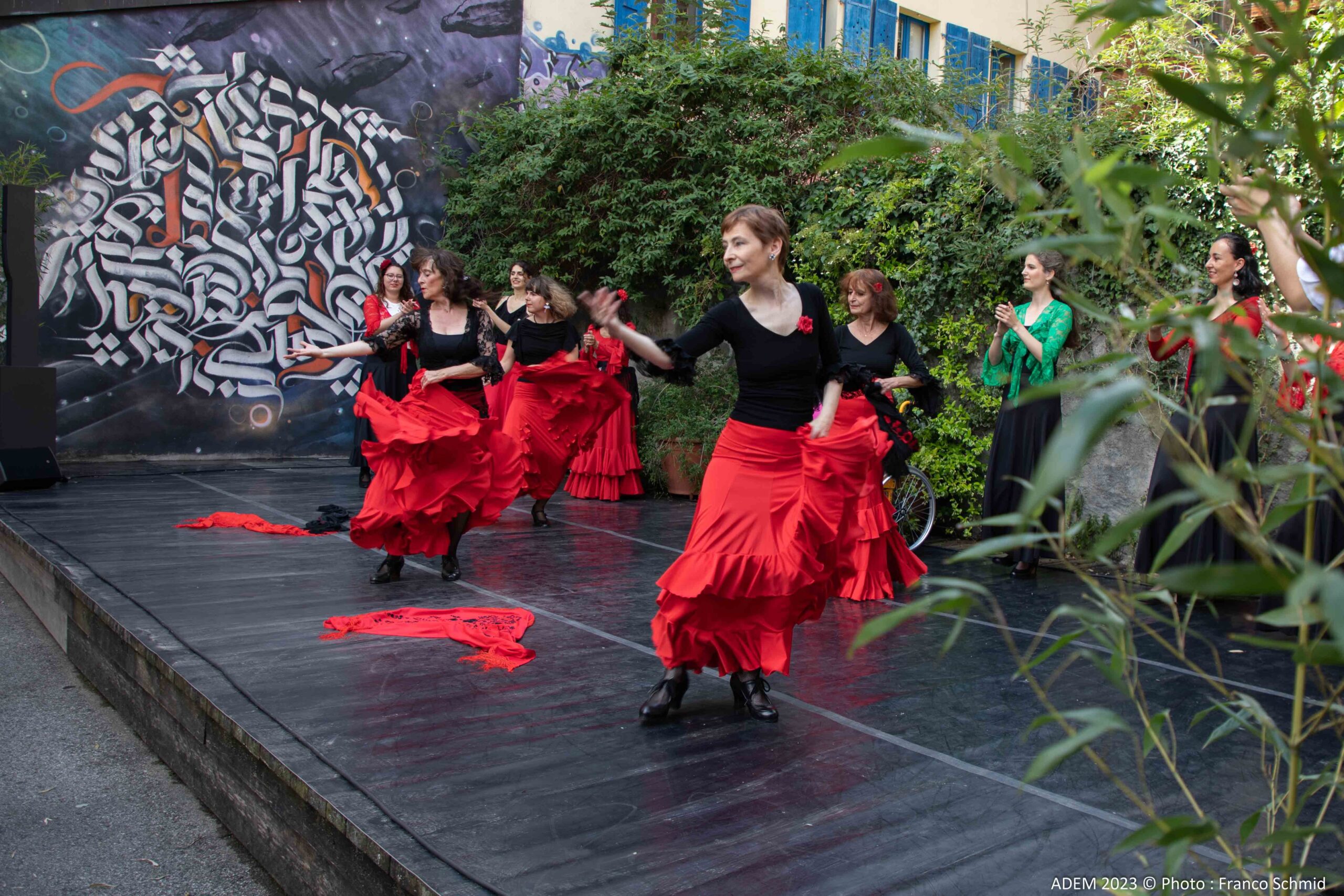 Cours de Flamenco débutants à Diamono