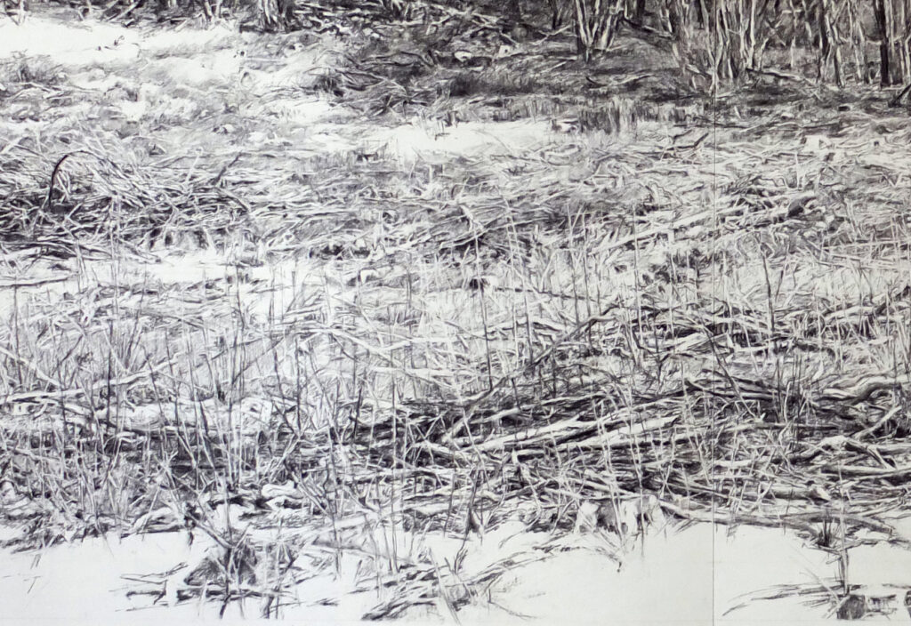 Combe Léchaud • dessin au fusain / 70 x 200 cm (extrait)