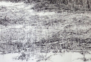 Combe Léchaud • dessin au fusain / 70 x 200 cm (extrait)