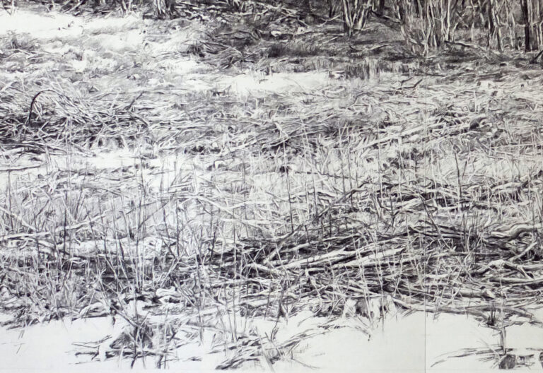 Combe Léchaud • dessin au fusain / 70 x 200 cm (extrait)